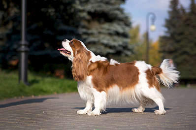 1920 X 1271 164.6 Kb 1920 X 2649 371.8 Kb 1920 X 1280 284.9 Kb  --- - .