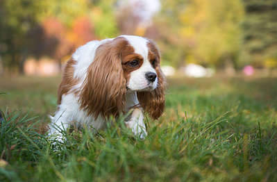 1920 X 1259 175.2 Kb 1920 X 1271 164.6 Kb 1920 X 2649 371.8 Kb 1920 X 1280 284.9 Kb  --- - .