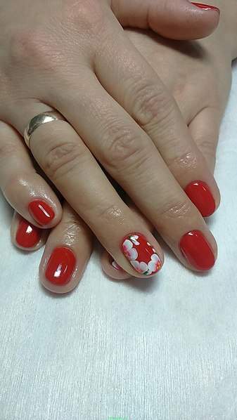 873 X 1552 232.9 Kb 816 X 612 101.9 Kb  -   - 390,  -  - 650,  +   - 150