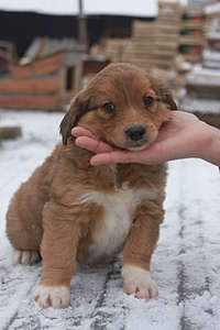 1920 X 2880 235.9 Kb 1920 X 2880 221.9 Kb  -     .  -   .