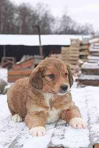 1920 X 2880 253.9 Kb 1920 X 2880 235.9 Kb 1920 X 2880 221.9 Kb  -     .  -   .