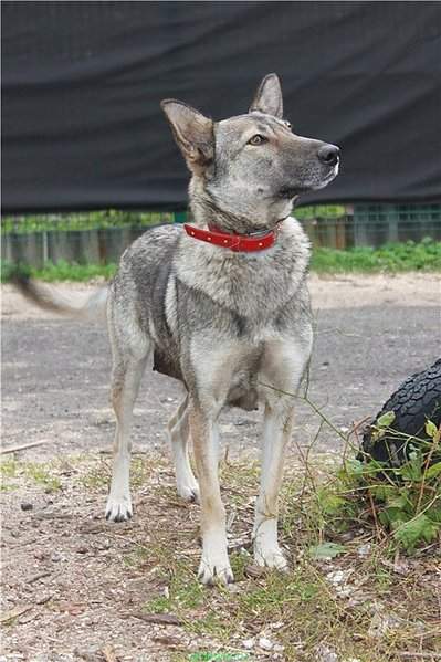 533 X 800 100.6 Kb      .