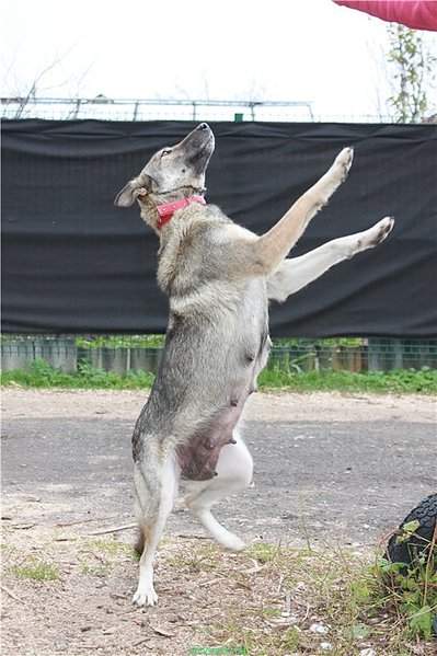 533 X 800 89.2 Kb 533 X 800 100.6 Kb      .