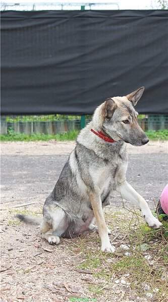 445 X 800 80.7 Kb 533 X 800 89.2 Kb 533 X 800 100.6 Kb      .