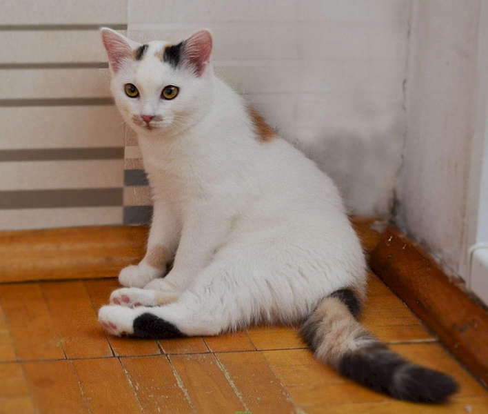 1920 X 1626 126.7 Kb    