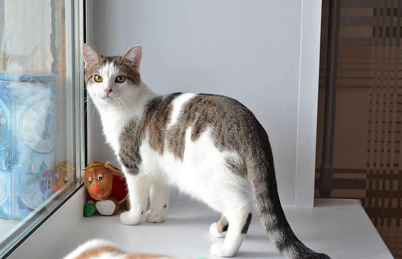 1920 X 1235 173.7 Kb    