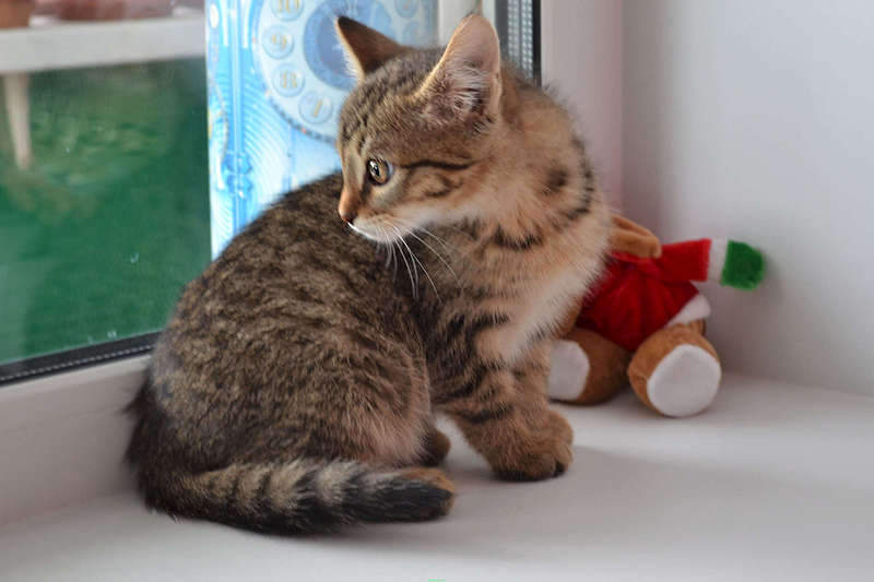 1920 X 1280 152.7 Kb 1920 X 1235 173.7 Kb    