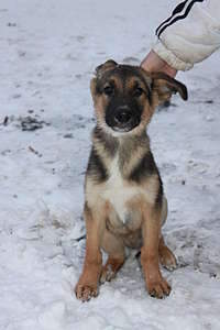 1920 X 2880 244.5 Kb .    . .   . . !