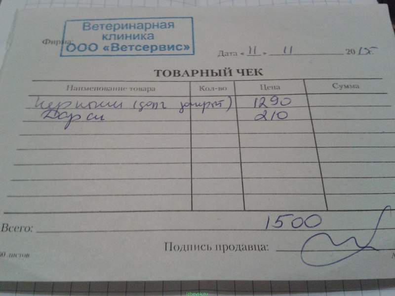 1280 X 960 132.5 Kb Очень нужна помощь в оплате стационара подопечных кошек