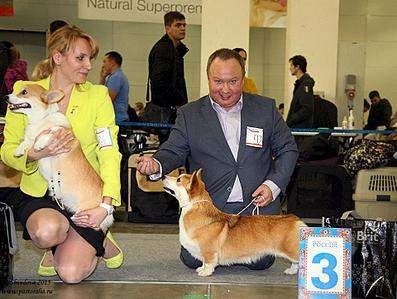 960 X 724 98.7 Kb 2048 X 1420 259.2 Kb 1280 X 853 222.9 Kb         World Dog Show-2016