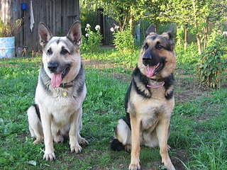 2048 X 1536 542.3 Kb  - !