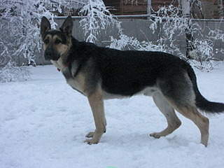 1600 X 1200 972.9 Kb  - !