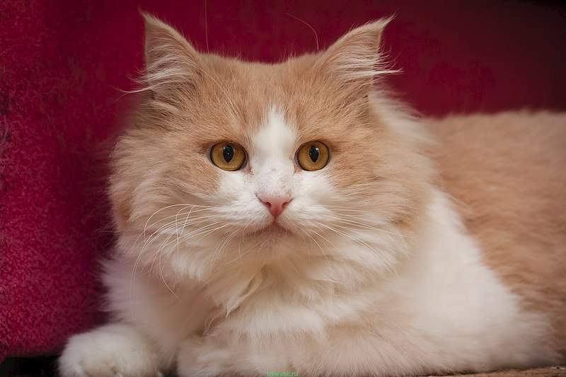 1280 X 853 142.3 Kb      - !