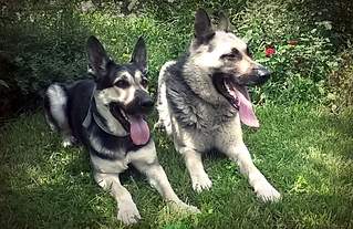 856 X 556 481.2 Kb  - !