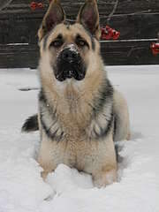 1920 X 2560 266.7 Kb 1920 X 1440 390.9 Kb 856 X 556 481.2 Kb  - !