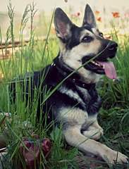 1536 X 2014 496.0 Kb 1920 X 1434 299.6 Kb 1920 X 2560 266.7 Kb 1920 X 1440 390.9 Kb 856 X 556 481.2 Kb  - !