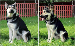 1920 X 1192 350.1 Kb 1280 X 867 266.4 Kb  - !