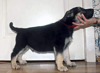 1920 X 1398 202.9 Kb  - !