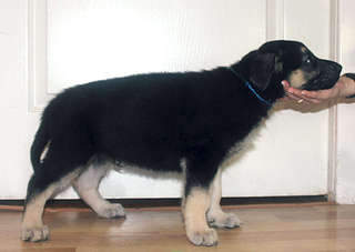 1920 X 1363 131.8 Kb 1920 X 1461 156.9 Kb 1920 X 1398 202.9 Kb  - !