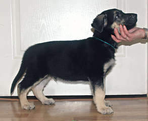 1920 X 1568 174.5 Kb 1760 X 1319 130.7 Kb 1920 X 1363 131.8 Kb 1920 X 1461 156.9 Kb 1920 X 1398 202.9 Kb  - !