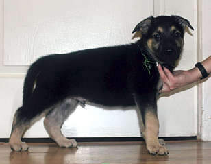 1920 X 1492 174.9 Kb 1920 X 1333 155.3 Kb  - !