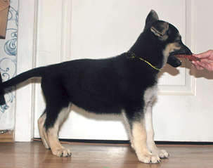 1920 X 1516 150.5 Kb 1920 X 1492 174.9 Kb 1920 X 1333 155.3 Kb  - !