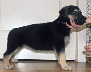 1920 X 1532 172.4 Kb 1920 X 1516 150.5 Kb 1920 X 1492 174.9 Kb 1920 X 1333 155.3 Kb  - !