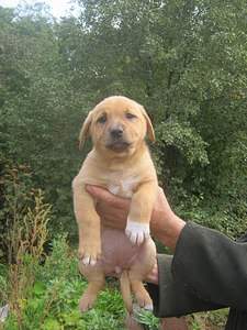 1536 X 2048 578.5 Kb    . , 