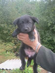 1536 X 2048 565.3 Kb 1536 X 2048 578.5 Kb    . , 