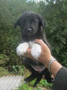 1536 X 2048 462.9 Kb 1536 X 2048 565.3 Kb 1536 X 2048 578.5 Kb    . , 