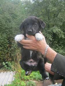 1536 X 2048 498.9 Kb 1536 X 2048 462.9 Kb 1536 X 2048 565.3 Kb 1536 X 2048 578.5 Kb    . , 