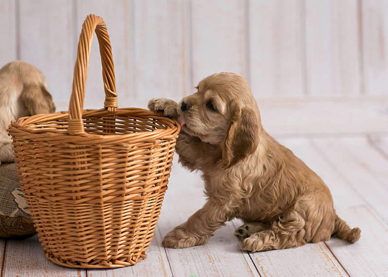 1920 X 1371 255.9 Kb    .