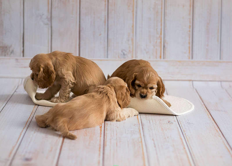 1920 X 1371 175.9 Kb 1920 X 1371 255.9 Kb    .