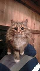 1746 X 3104 653.3 Kb -,    