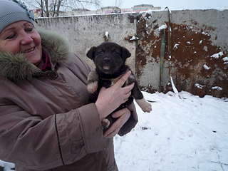 1920 X 1440 225.4 Kb   -   ,   3