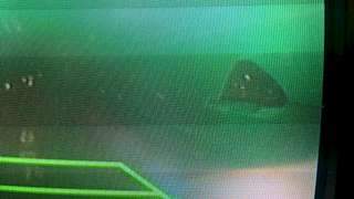 1920 X 1080 507.8 Kb    