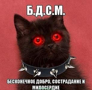 450 X 439  59.8 Kb |||     