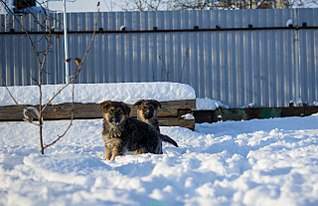 1280 X 825 162.6 Kb 1280 X 857 141.7 Kb 1280 X 857 180.7 Kb 1280 X 857 150.2 Kb 919 X 1080 147.5 Kb   