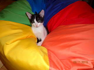 1920 X 1440 147.0 Kb 1920 X 1440 164.0 Kb    .