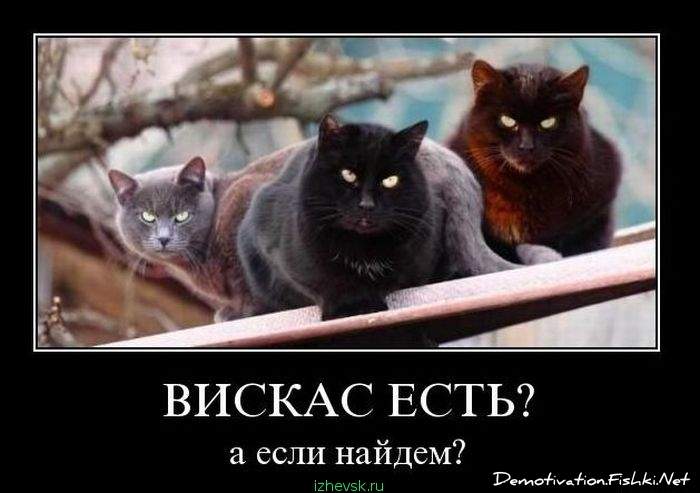 700 x 493 Улыбнемся?