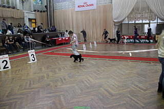 720 X 480 223.8 Kb 630 X 346 130.6 Kb 435 X 423 129.9 Kb  --