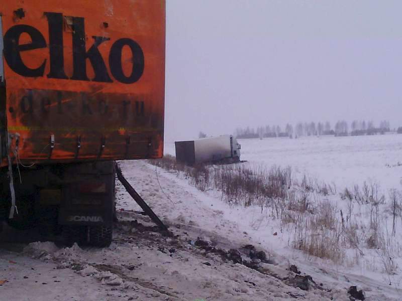 1920 X 1440 126.4 Kb 19.11.2015   20:00     .