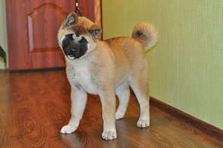 1920 X 1275 209.1 Kb 604 X 474 82.4 Kb 800 X 759 114.5 Kb     