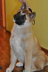 847 X 1275 134.7 Kb 1920 X 1275 209.1 Kb 604 X 474 82.4 Kb 800 X 759 114.5 Kb     