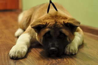 1920 X 1275 175.6 Kb     