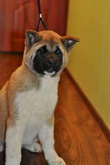 847 X 1275 114.3 Kb 1920 X 1275 175.6 Kb     