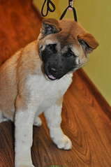 847 X 1275 127.5 Kb 847 X 1275 114.3 Kb 1920 X 1275 175.6 Kb     