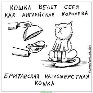 604 X 604  63.5 Kb 604 X 604  67.6 Kb Улыбнемся?