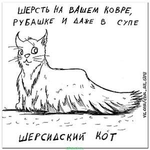 604 X 604  62.5 Kb 604 X 604  63.5 Kb 604 X 604  67.6 Kb Улыбнемся?