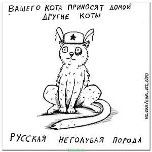 604 X 604  52.0 Kb 604 X 604  48.8 Kb 604 X 604  62.5 Kb 604 X 604  63.5 Kb 604 X 604  67.6 Kb Улыбнемся?